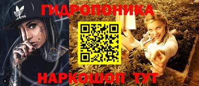 марки lsd Лесосибирск