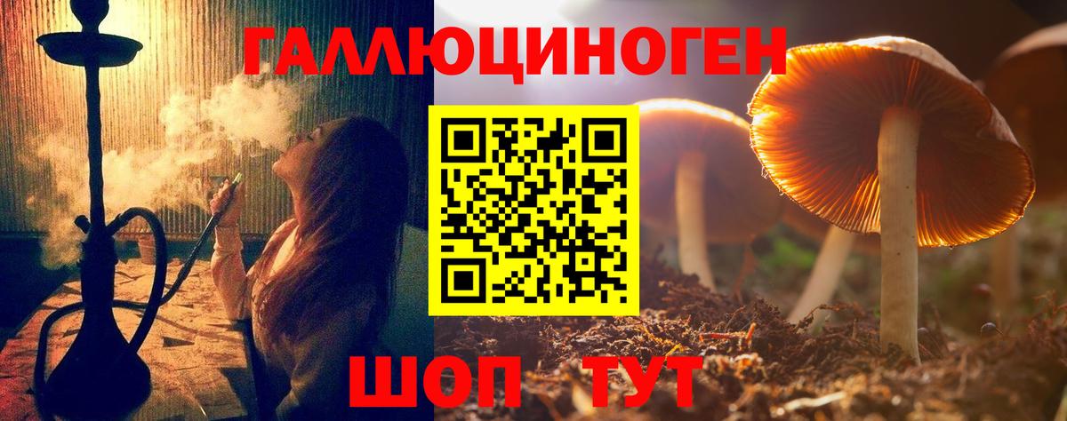 Псилоцибиновые грибы мухоморы  хочу наркоту  Дзержинск  Вход с VPN 